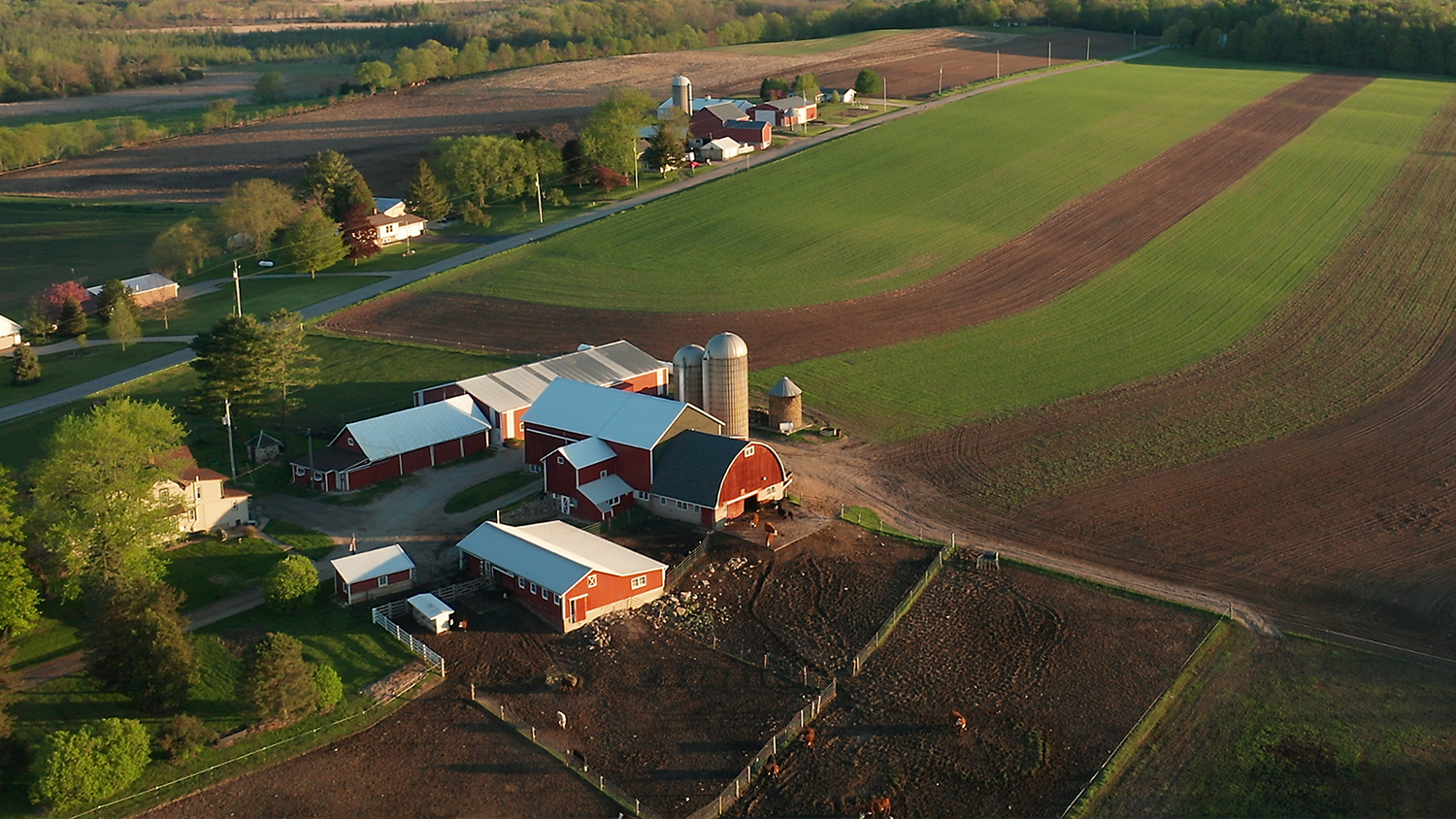 Aerial view of a modern farm with barns, fields, and agricultural buildings.