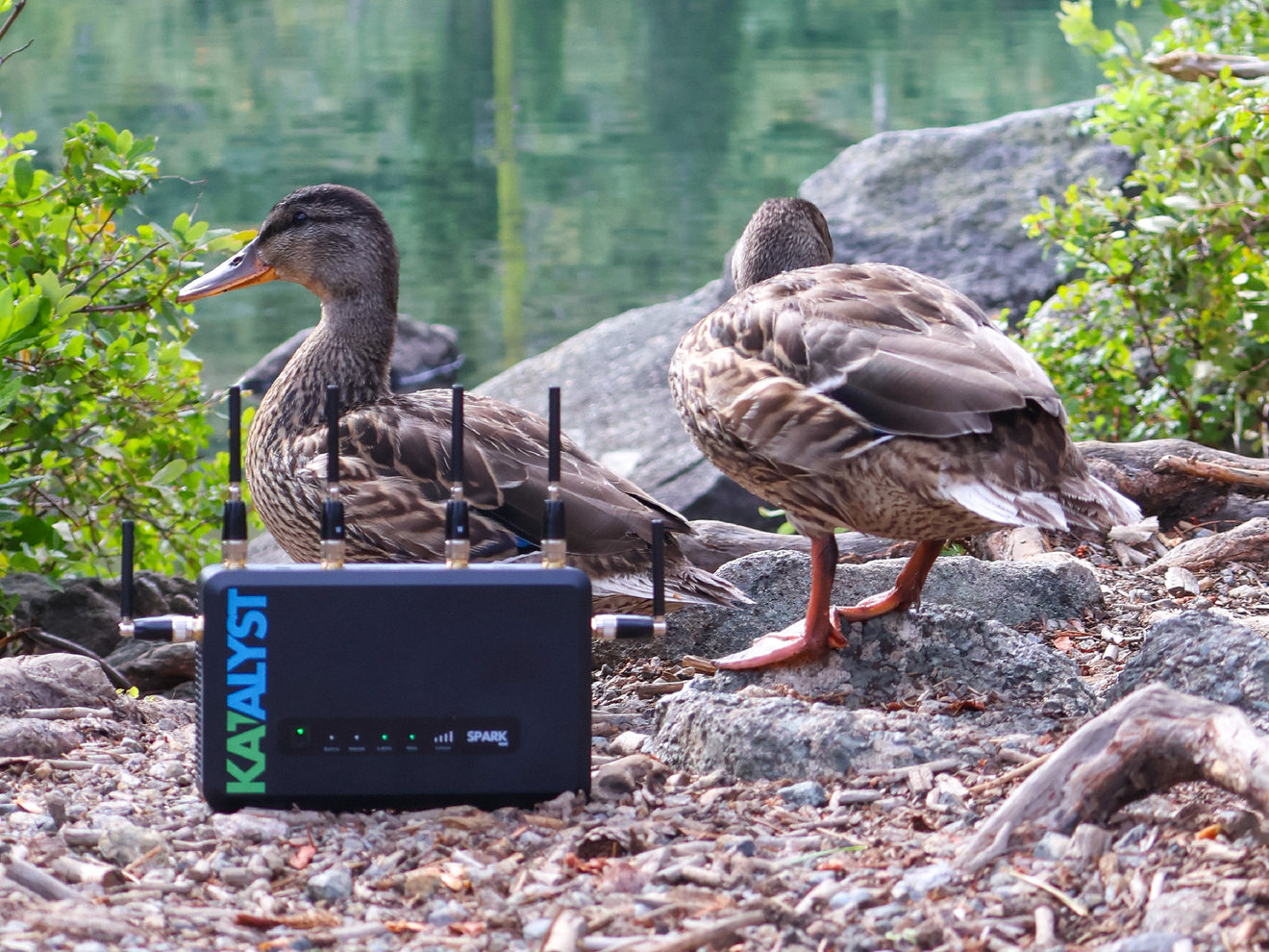 Mini-R low-profile cellular antennas installed outdoors, demonstrating durable construction for long-term deployments.