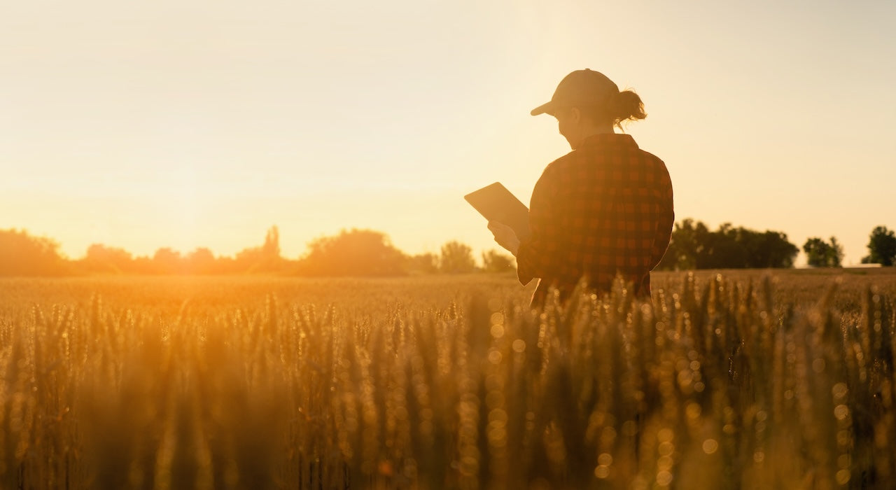 Farmer using a tablet to manage operations in a crop field.