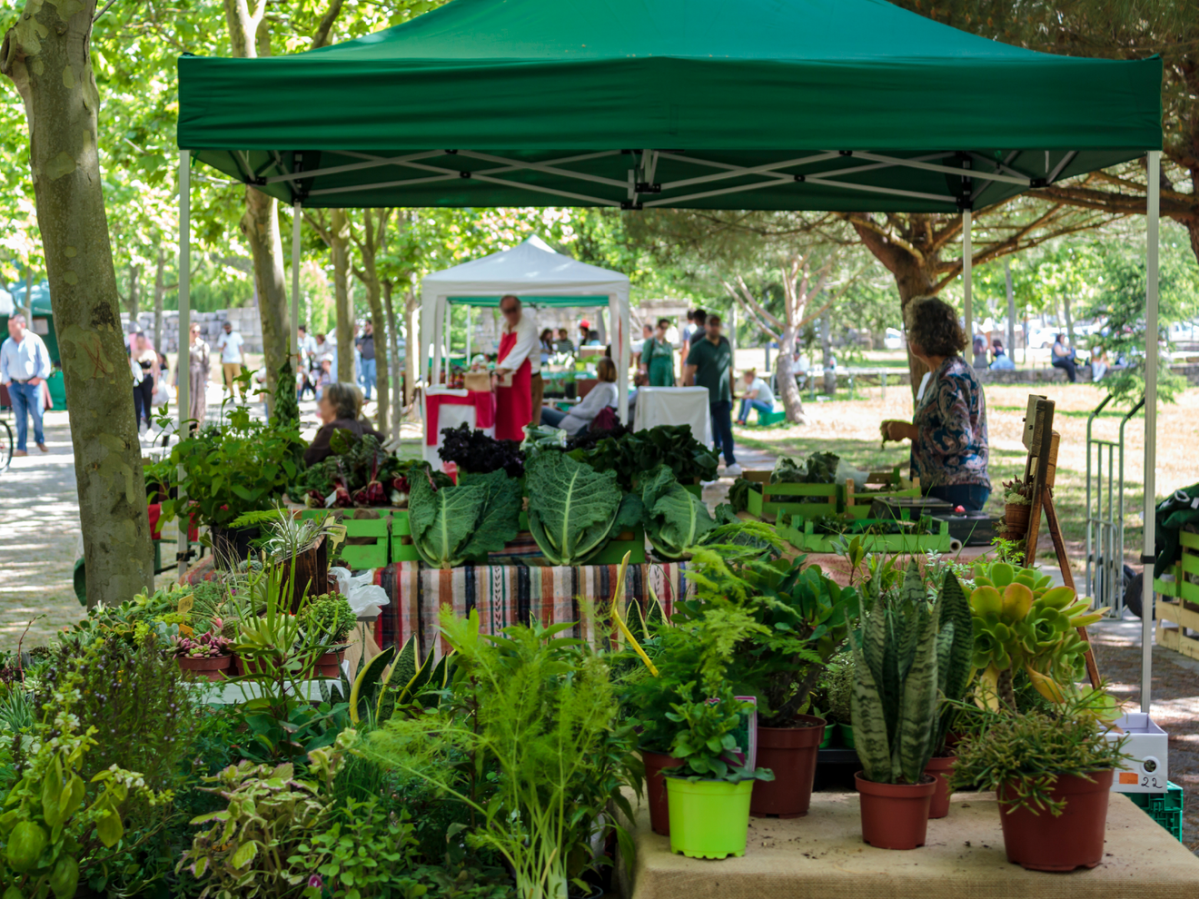 Outdoor market vendor using cellular internet for pop-up retail and mobile business connectivity
