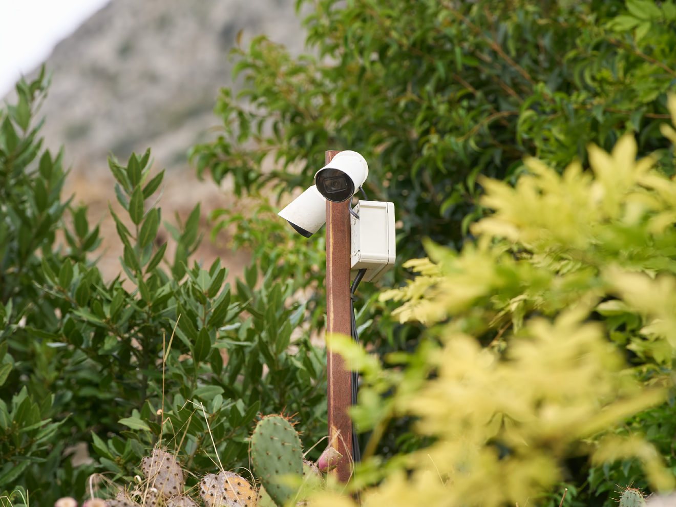 Outdoor security camera using a Siren cellular antenna for reliable remote monitoring and surveillance connectivity.